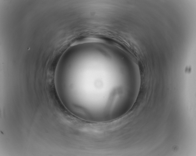 X0000092250033200709141157