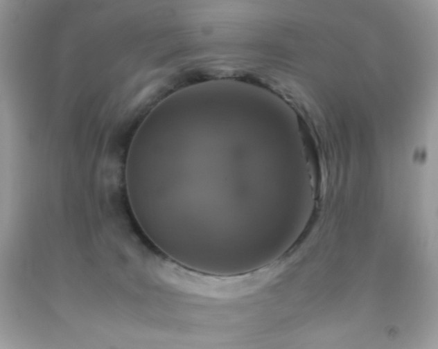 X0000092250035200709141157