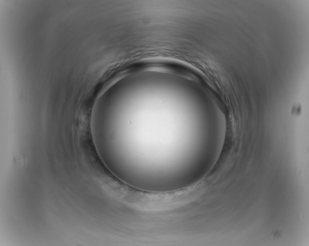 X0000092250037200709141157