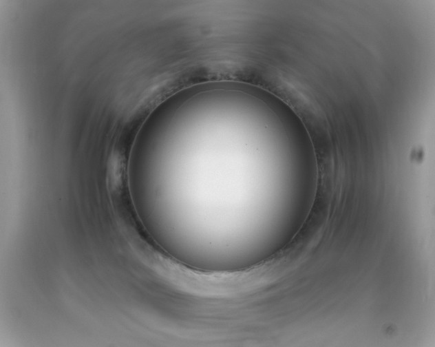 X0000092250038200709141157