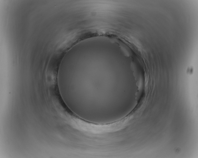 X0000092250039200709141157