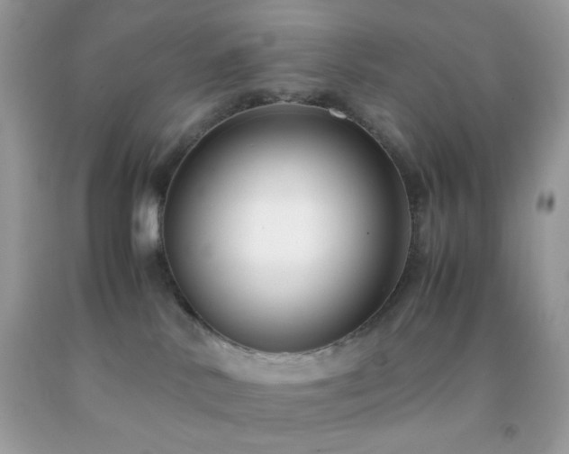 X0000092250042200709141157