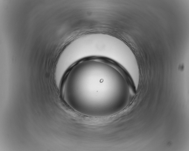 X0000092250045200709141157