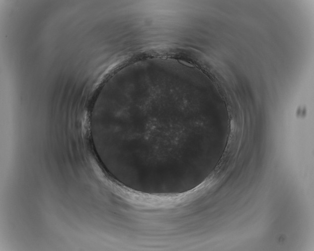 X0000092250048200709141157