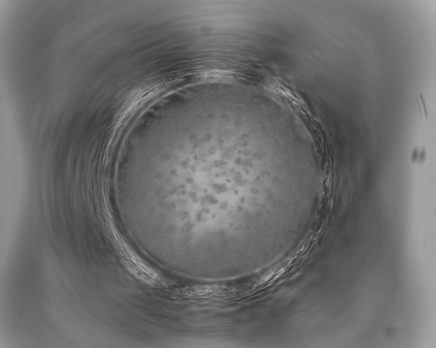 X0000092250049200709141156