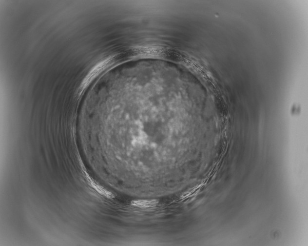 X0000092250051200709141156
