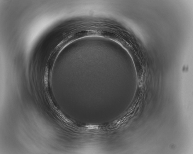 X0000092250052200709141156