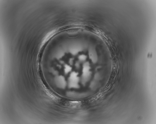 X0000092250053200709141156