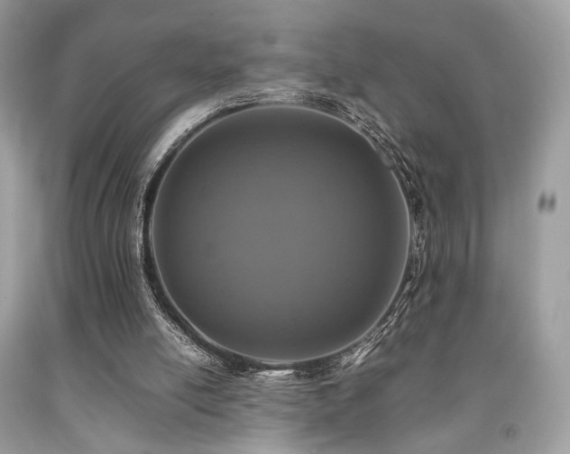 X0000092250054200709141156