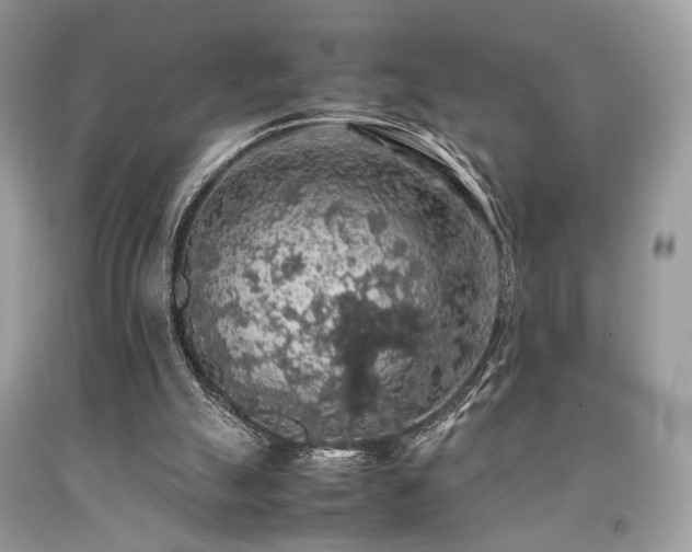 X0000092250055200709141156