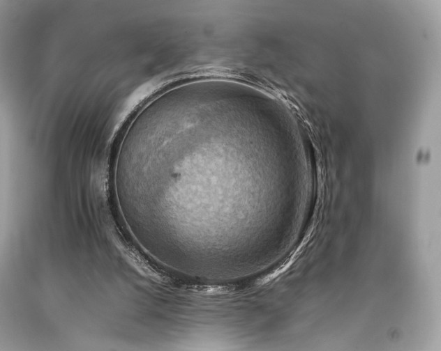 X0000092250056200709141156