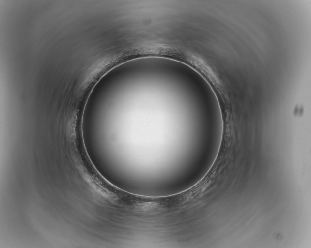 X0000092250058200709141156