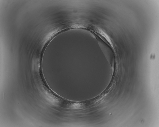 X0000092250059200709141156