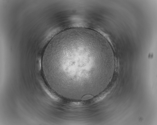 X0000092250061200709141156