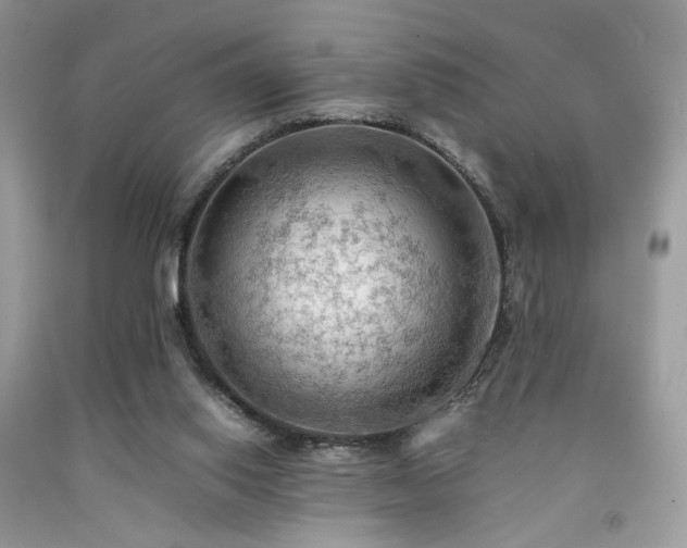 X0000092250062200709141156