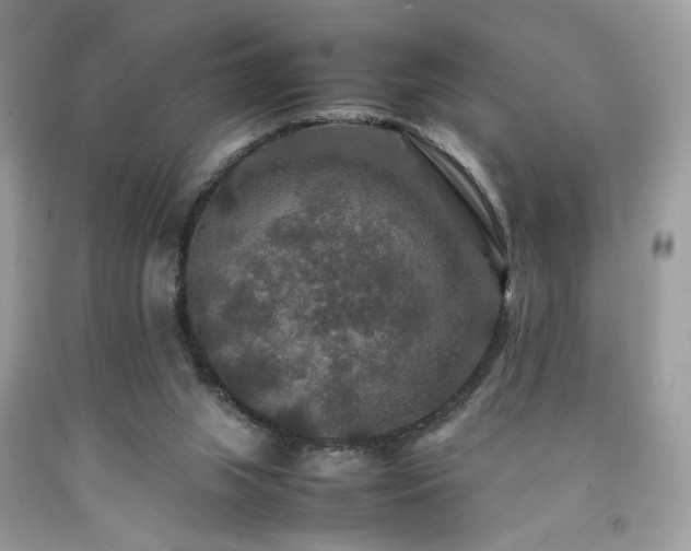 X0000092250063200709141156