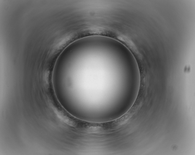 X0000092250066200709141156