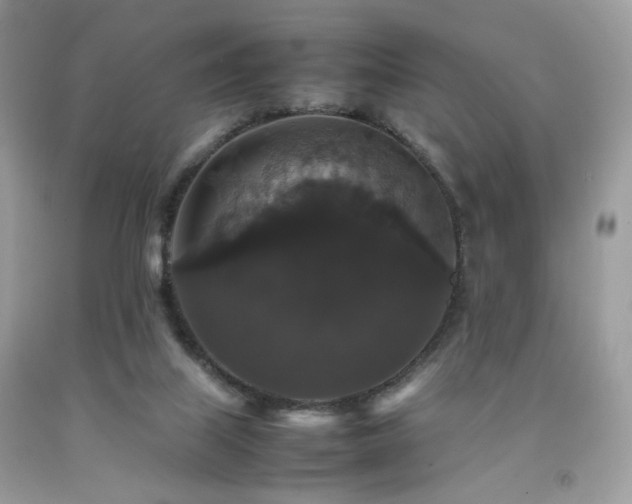 X0000092250067200709141156