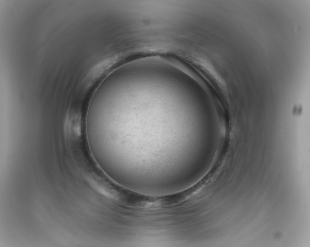 X0000092250068200709141156