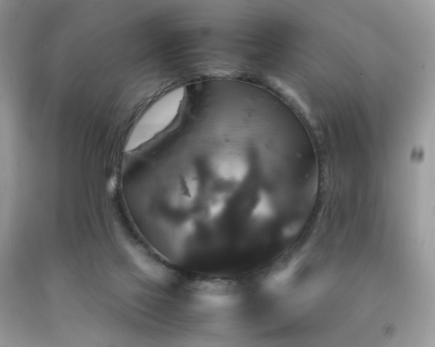 X0000092250069200709141156