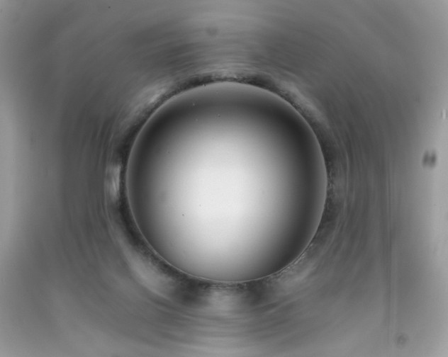 X0000092250070200709141157