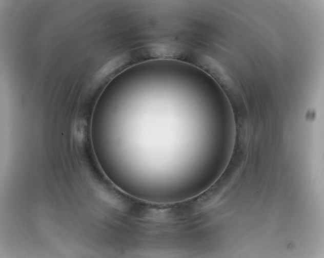 X0000092250071200709141157