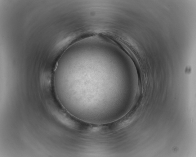 X0000092250072200709141157