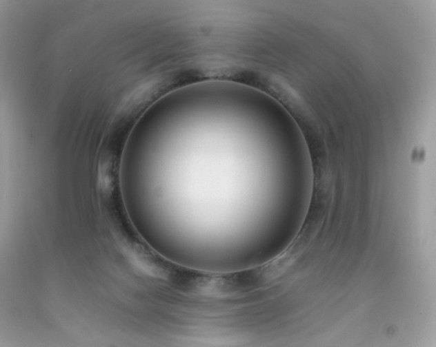 X0000092250074200709141157