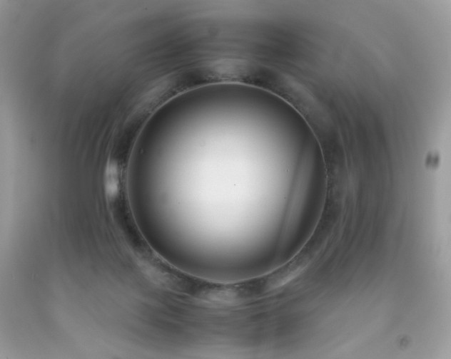 X0000092250075200709141157