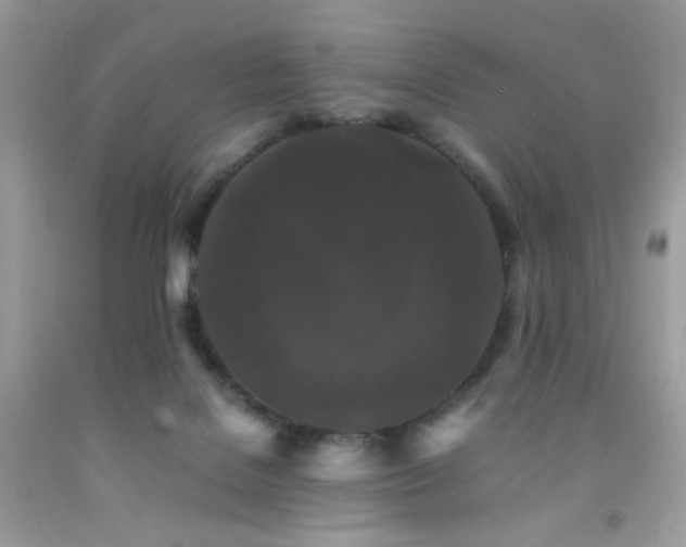 X0000092250076200709141157