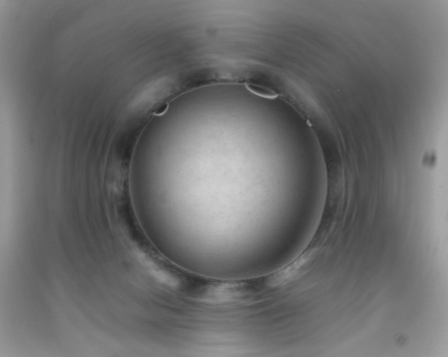 X0000092250078200709141157