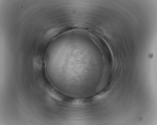 X0000092250080200709141157