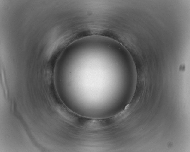 X0000092250082200709141157