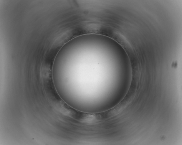 X0000092250083200709141157
