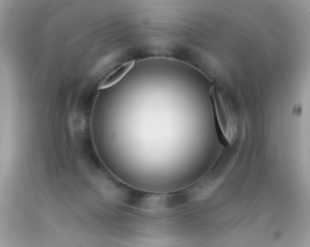 X0000092250084200709141157
