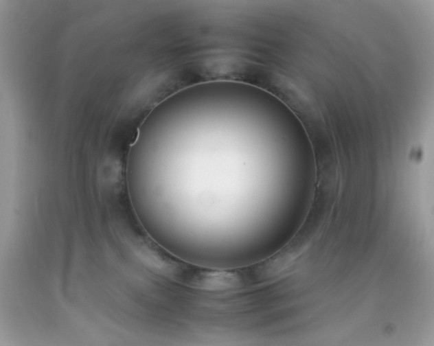 X0000092250087200709141157