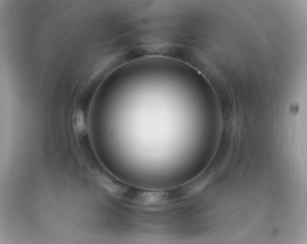 X0000092250089200709141157