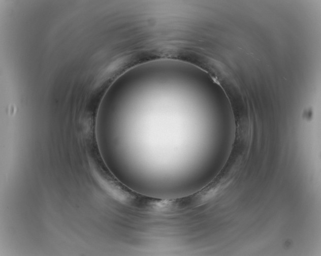 X0000092250092200709141157