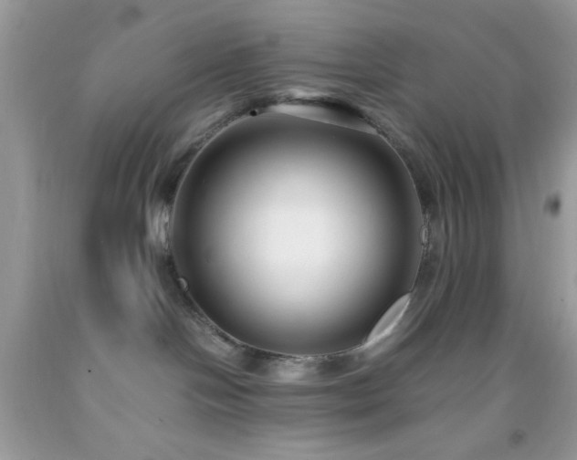 X0000092250094200709141157