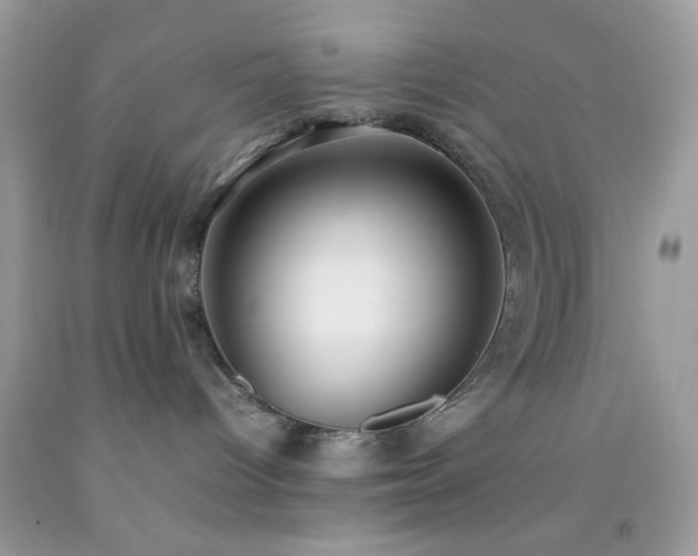 X0000092250096200709141157