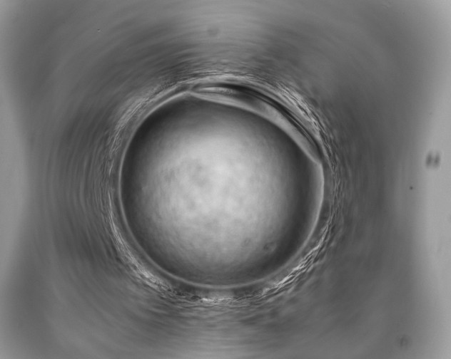 X0000092250097200709141156