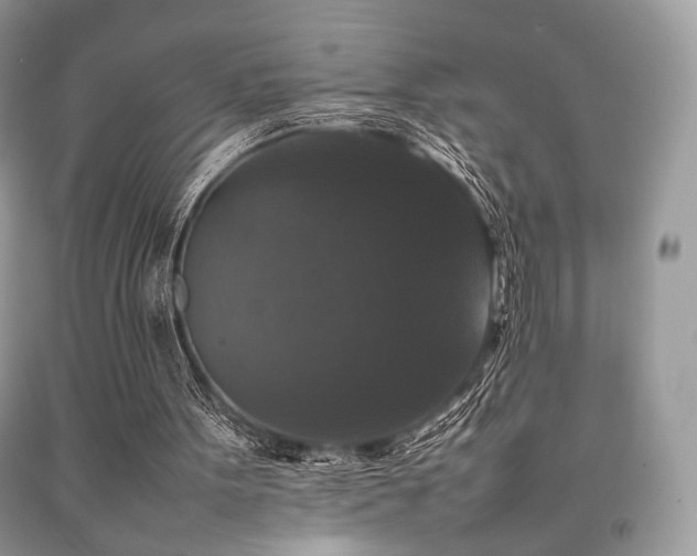 X0000092250099200709141156