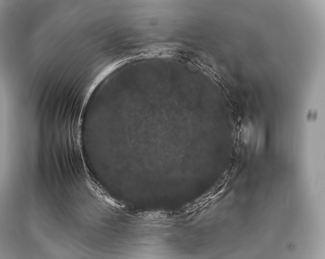 X0000092250100200709141156