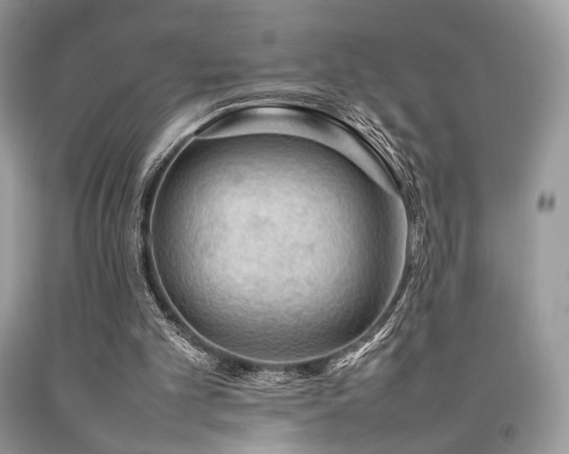X0000092250101200709141156