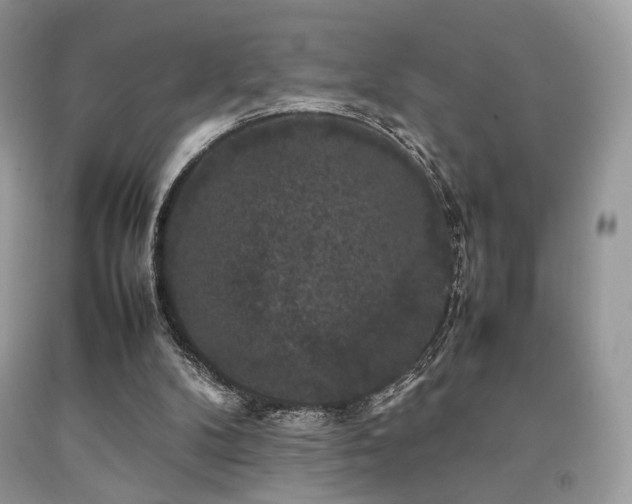 X0000092250104200709141156