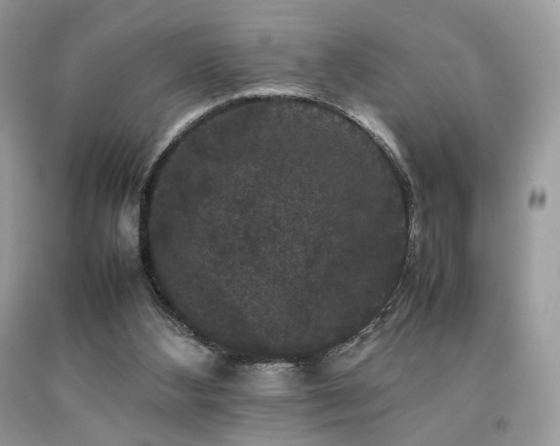 X0000092250108200709141156