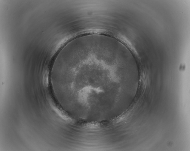X0000092250110200709141156