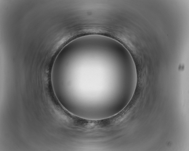 X0000092250111200709141156