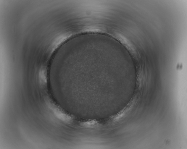 X0000092250112200709141156