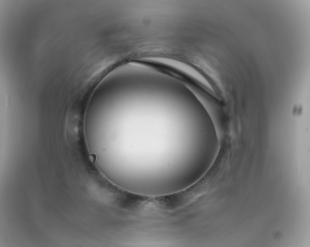 X0000092250115200709141156